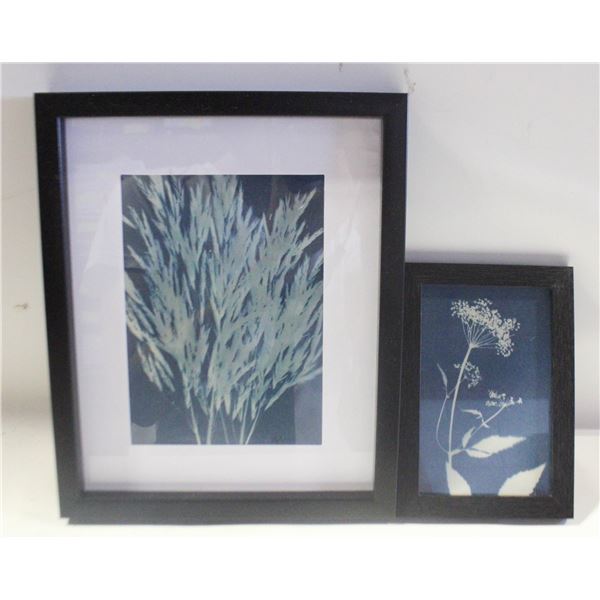 2 SIGNED CYANOTYPE ART BOTANICAL PRINTS