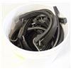 Image 1 : RUBBER BUNGIE CORDS - ASSTD LENGTHS