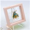 Image 1 : NEW BEE BROOCH TEAL & GOLDTONED