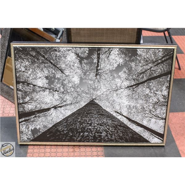 TREE EMBRACE FRAMED CANVAS WALL HANGING 26"X38.5"