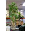 Image 1 : 5FT ARTIFICIAL BAMBOO TREE IN STONE PLANTER