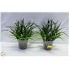 Image 1 : 2 - DECORS VERONNEAU ARTIFICIAL GRAPE HYACINTH