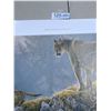 Image 3 : Robert Bateman Print "Excursion-Cougar and Kits" in Shipping Tube