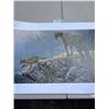 Image 4 : Robert Bateman Print "Excursion-Cougar and Kits" in Shipping Tube