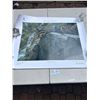 Image 1 : Robert Bateman Pring " On The Brink" In Shipping Tube