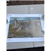 Image 1 : Robert Bateman Print " Family Gathering" In Shipping Tube