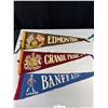 Image 2 : Lot of 5 Vintage Pennants