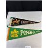 Image 3 : Lot of 5 Vintage Pennants