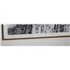 Image 2 : VECHT AND DAN BY NICK PRINS SIGNED AND NUMBERED