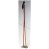 Image 1 : SET OF SKII POLES