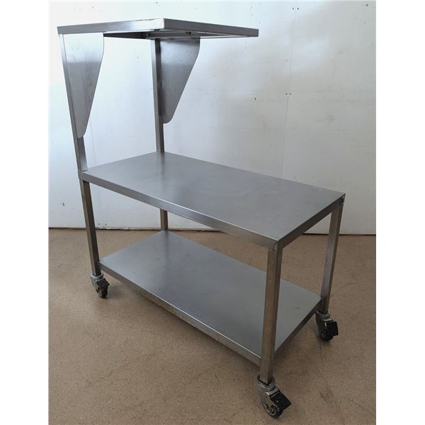 20" Custom Mobile Stainless Steel Cabinet/Equipment Table