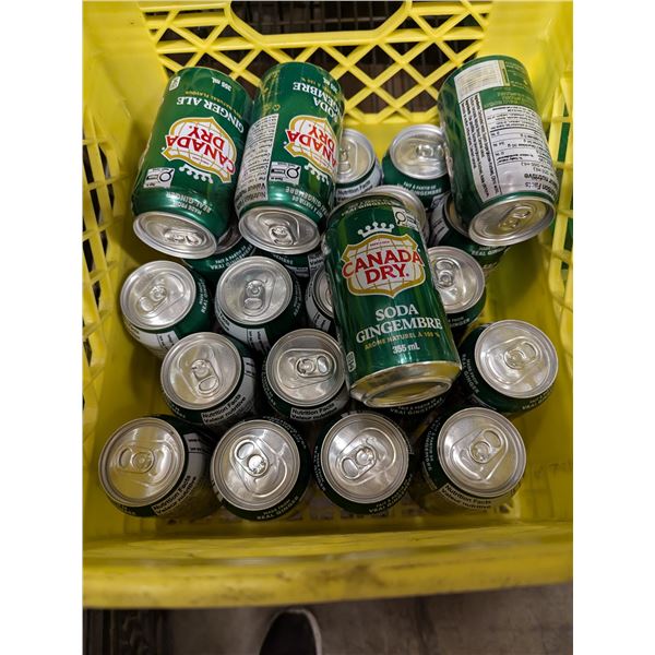 Canada Dry Ginger Ale 355mL - Lot of 24