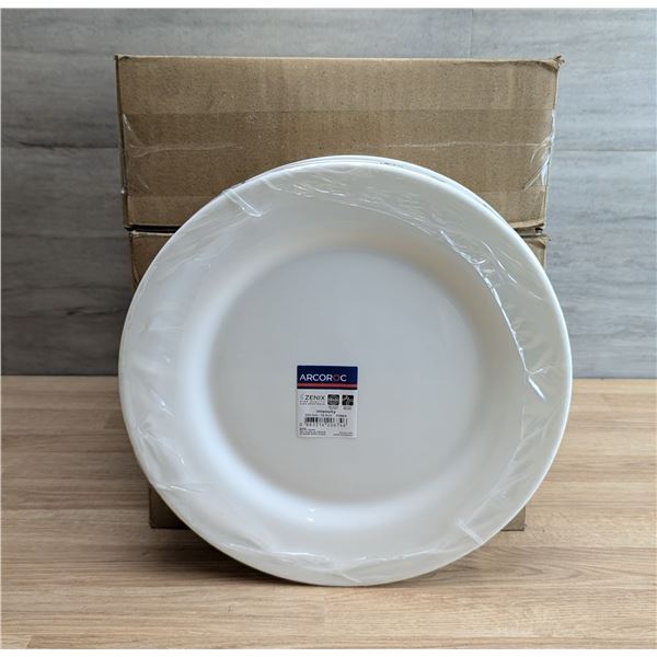 10" Zenix Intensity Banquet Plates, Arcoroc P3964 - Lot of 12