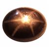 2.66ct Opaque Oval Cabochon Black Star Sapphire Natural  (GEM-23247)