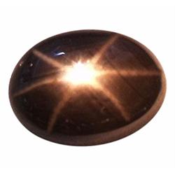 2.48ct Opaque Oval Cabochon Black Star Sapphire Natural  (GEM-23260)