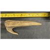 Image 4 : Antique Antler Handle Hunting Knife