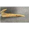 Image 6 : Antique Antler Handle Hunting Knife