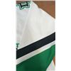 Image 6 : University of North Dakota Fighting Sioux Youth XL hockey Jersey