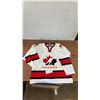 Image 1 : Vintage Team Canada Nike Men’s Medium Hockey Jersey, 2002 Olympics