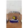Image 5 : 7 Beautiful Art Glass Paper weights