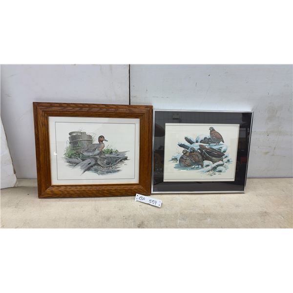 Two Framed Wildlife Pictures: Balke Green-Winged Teal and Quail in Snow Scene, Largest 15 × 18”