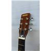 Image 4 : Raven E1 Acoustic Guitar and Hard Case