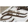 Image 3 : Collection of Antique Horse Hames