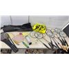 Image 1 : Badminton Rackets, Net and Shuttlecocks: Eastpoint Bag, Boshika Rackets