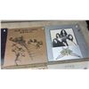 Image 3 : Ten Vinyl Records Including Duran Duran, Bob Dylan, Genesis, Diana Ross, Air Supply