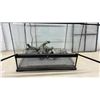 Image 7 : Exo Terra Terrarium, 18.5 × 24 × 18”, with Screen Top, Water Dish and 2 Decor Pieces