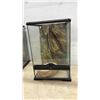 Image 3 : Two Exo Terra Glass Terrariums, with Screen Tops, Two Backgrounds, Two Water Dishes, and Decor