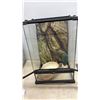 Image 5 : Two Exo Terra Glass Terrariums, with Screen Tops, Two Backgrounds, Two Water Dishes, and Decor