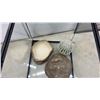 Image 3 : Exo Terra Glass Terrarium, Water Dish, Rock and Cactus, 18 1/2 × 17 1/2 × 17 1/2”