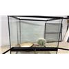 Image 5 : Exo Terra Glass Terrarium, Water Dish, Rock and Cactus, 18 1/2 × 17 1/2 × 17 1/2”