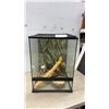Image 1 : Exo Terra Terrarium, with Screen Top, Wood Branch, Skull, and Water Dishes, 24 × 18 × 18”