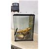 Image 2 : Exo Terra Terrarium, with Screen Top, Wood Branch, Skull, and Water Dishes, 24 × 18 × 18”