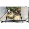 Image 4 : Exo Terra Terrarium, with Screen Top, Wood Branch, Skull, and Water Dishes, 24 × 18 × 18”