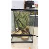 Image 5 : Exo Terra Terrarium, with Screen Top, Wood Branch, Skull, and Water Dishes, 24 × 18 × 18”