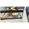 Image 7 : Exo Terra Terrarium, with Screen Top, Wood Branch, Skull, and Water Dishes, 24 × 18 × 18”