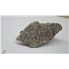Image 10 : Two Soap Stone Animal Figurines: Sea Sculpture and Duck on Base, Largest 5 1/2 × 2 7/8 × 2 1/4”