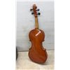 Image 3 : Violin and Bow with Case