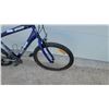 Image 3 : Oasis Freeze Mountain Bike with Knobby Tires, Multiple Gears, and Lite-Line Saddle no air in tires