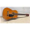Image 2 : Penco Acoustic Guitar and Soft Case