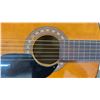 Image 5 : Penco Acoustic Guitar and Soft Case