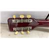 Image 8 : Penco Acoustic Guitar and Soft Case