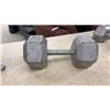 Image 3 : 2 Plastic York Dumbbells and 50 Pound Steel Hex Dumbbell