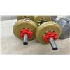Image 5 : 2 Plastic York Dumbbells and 50 Pound Steel Hex Dumbbell