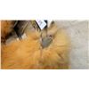 Image 6 : A and M Hurtig Ltd. Fine Furs and Leathers Full-Length Fur Coat