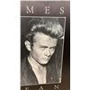 Image 5 : Three James Dean Posters, The Rebel, 28 × 22”
