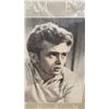 Image 7 : Three James Dean Posters, The Rebel, 28 × 22”